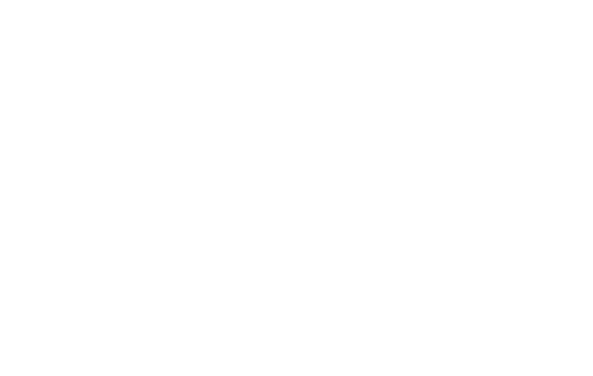 Tribeca Film Festival